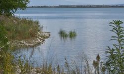Sapanca Gölü'nün su seviyesi geçen yıla göre 75 santimetre yükseldi