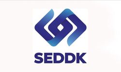 SEDDK sigorta hasarlarına ilişkin hizmetlere e-Devlet kapısından erişilebildiğini duyurdu