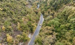 Tekirdağ'da ormanlarda sonbahar renkleri görülmeye başladı
