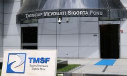 TMSF, Tera Yatırım Teknoloji Holding'e kayyum olarak atandı