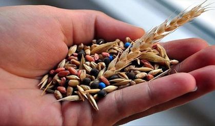 Türkiye tohumda ihracatçı pozisyonunu sürdürüyor