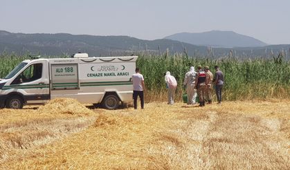 Gaziantep'te sazlık alanda erkek cesedi bulundu