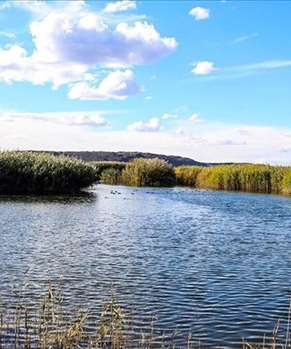Sıfır Atık Vakfı, 120'den fazla sulak alan için çalışma yapacak