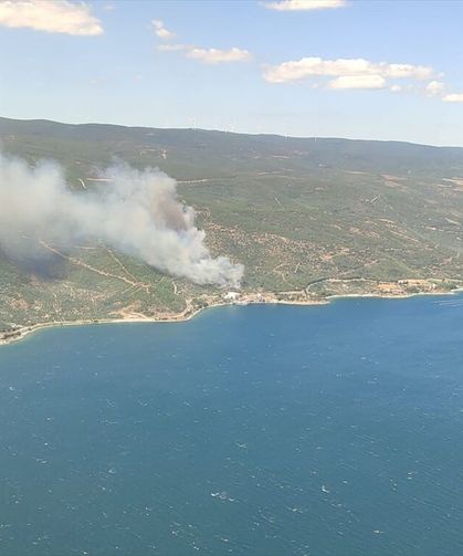 GÜNCELLEME 2 - Yalova'da çıkan orman yangını kontrol altına alındı