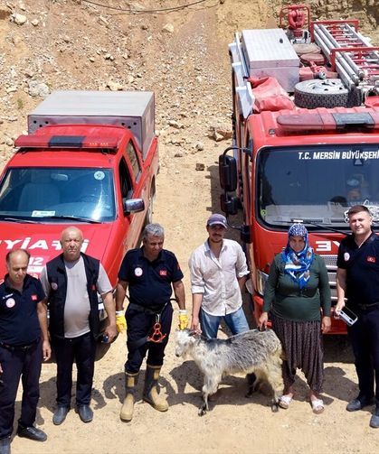 Mersin'de kayalıklarda mahsur kalan keçi kurtarıldı