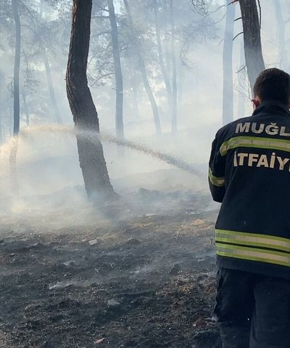 Ortaca'da ormanlık alanda çıkan yangına müdahale ediliyor