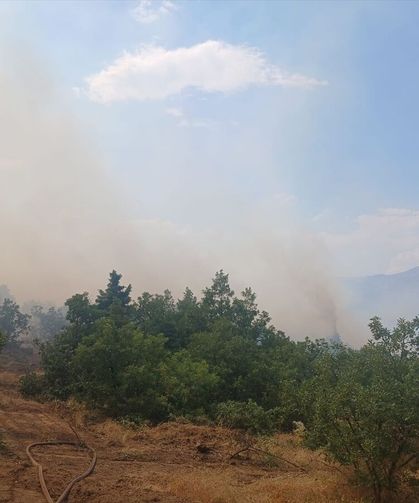 Pütürge'de çıkan orman yangınına müdahale ediliyor