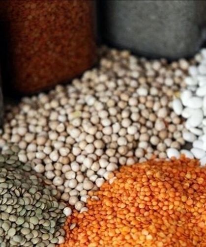 TİGEM Türkiye'nin bütün hububat tohumunu tek başına üretebilecek kapasitede