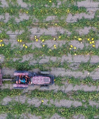Bakan Yumaklı, 688 milyon 200 bin lira tarımsal destekleme ödemesinin bugün yapılacağını bildirdi