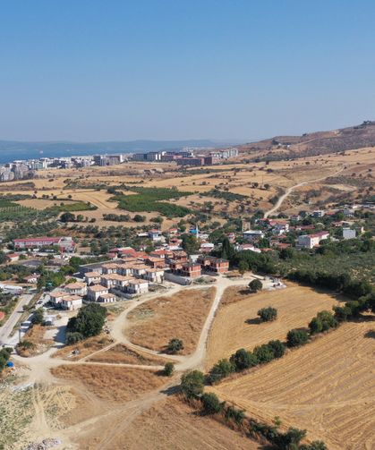 Biyoçeşitliliğe zarar veren orman yangınlarının önlenmesinde kuru ot temizliği önemli
