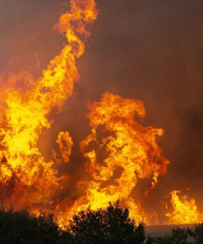 Bulgaristan'da ormanlık alanda çıkan yangına müdahale ediliyor
