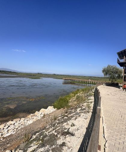 Efteni Gölü Kuş Cenneti hafta sonunda doğaseverleri ağırladı