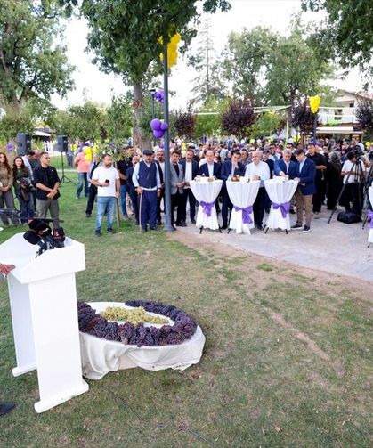 Konya'da bağbozumu ve pekmez kaynatma geleneği yaşatıldı