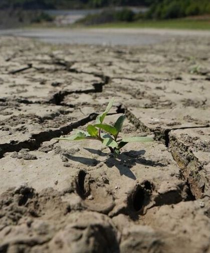 BM kuruluşlarından El Nino'ya karşı 'erken ve ciddiyetle harekete geçilmesi' çağrısı