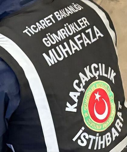 Edirne'deki iki gümrük kapısında yapılan operasyonlarda 7 bin 160 tarihi eser ele geçirildi