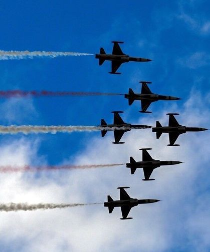 Türk Yıldızları TEKNOFEST Güneydoğu'da gösteri uçuşu yaptı