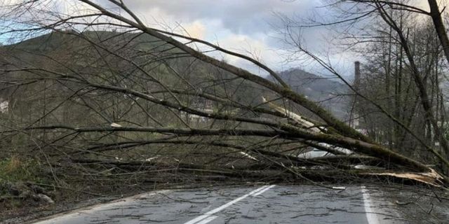 Meteorolojiden dört bölge için fırtına uyarısı