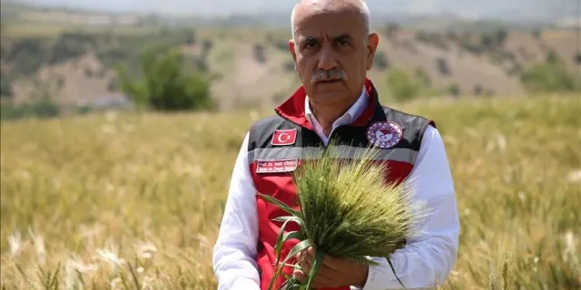 Bakan Kirişci: Buğdayda beklenen 21 milyon ton rekolte Türkiye'nin ihtiyacının karşılanması noktasında yeterli