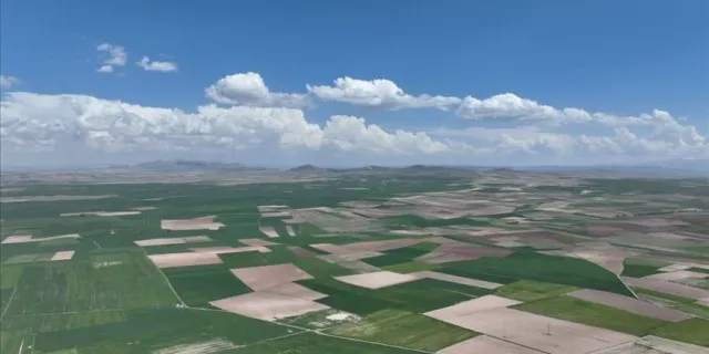 Kayseri'de tüzel kişilik kazanan sera OSB'de yıllık 35 bin ton ürün yetiştirilecek