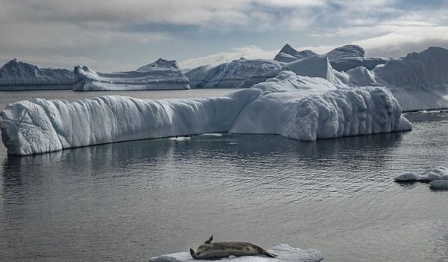 Antarktika buzullarının erimesiyle durgunlaşan okyanuslar daha az karbondioksit emiyor
