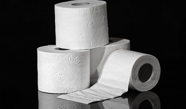 Araştırma: PFAS içeren tuvalet kağıdı atıkları yer altı sularını kirletebilir