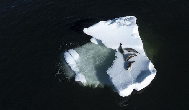 Antarktika'da eriyen buz tabakaları tahmin edilenden daha kısa sürede yok olabilir