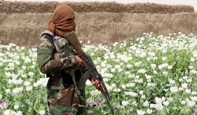 Taliban'dan, haşhaş yerine sebze ekimini teşvik için et yasağı