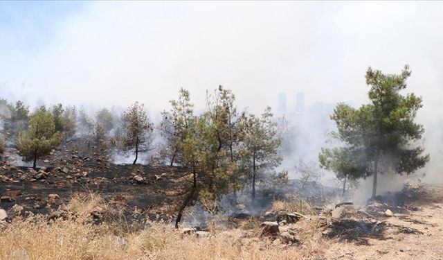 Şanlıurfa'daki orman yangınıyla ilgili gözaltına alınan zanlı tutuklandı