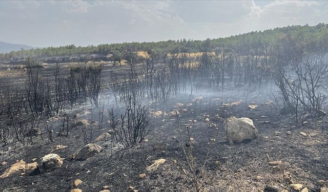 Isparta'da anız yangını ormanlık alana sıçradı