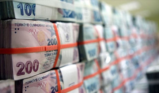 Hazine iki tahvil ihalesinde 61,8 milyar lira borçlandı