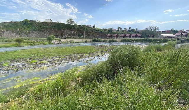 Suyu azalan Ardahan'daki Kura Nehri'nde kum adacıkları ve yosunlar oluştu