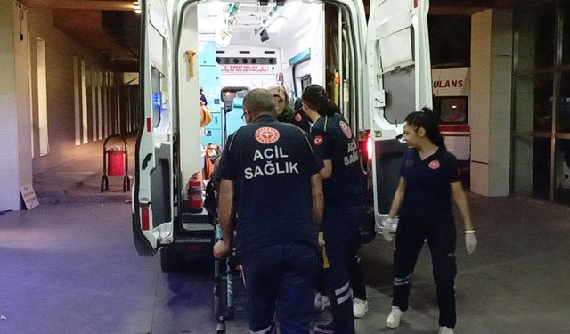 Karaman'da şarampole devrilen otomobildeki 3 kişi yaralandı