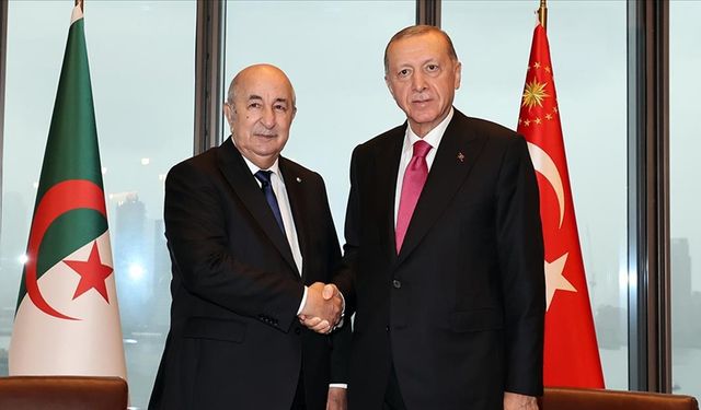 Cumhurbaşkanı Erdoğan, Cezayir Cumhurbaşkanı Tebbun ile görüştü