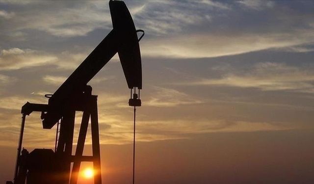 Türkiye'nin petrol ithalatı temmuzda yüzde 1,46 azaldı
