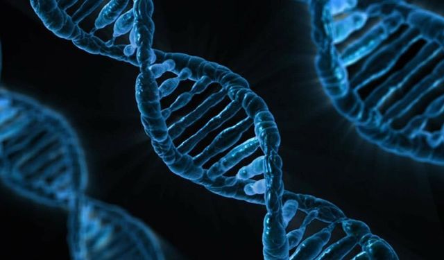 Google'ın yapay zeka şirketi DeepMind, DNA'da hastalığa yol açan genlerin bulunmasını hızlandırıyor