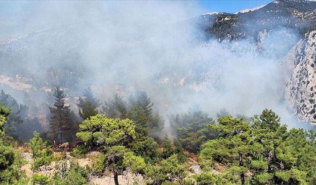 Antalya'nın Kaş ilçesinde orman yangını çıktı