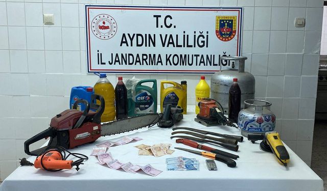 Aydın'da yayla evinden hırsızlık şüphelisi tutuklandı