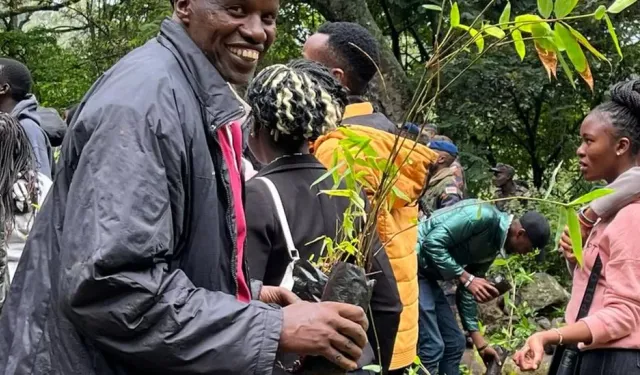 Kenyalılar 100 milyon fidan dikmek için ağaç dikme tatiline çıktı