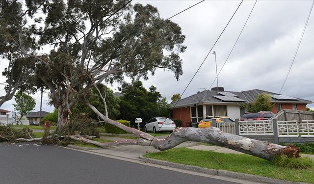 Avustralya'da şiddetli fırtına nedeniyle binlerce kişi elektriksiz kaldı