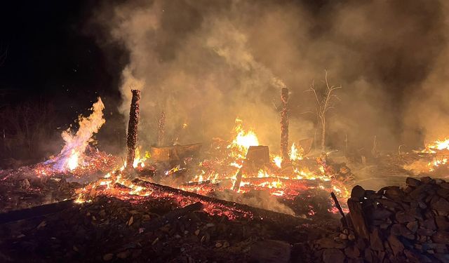 Sinop'ta 5 evin zarar gördüğü yangında 2 kişi öldü
