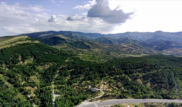 Türkiye'nin orman varlığı dünya standartlarına yaklaştı