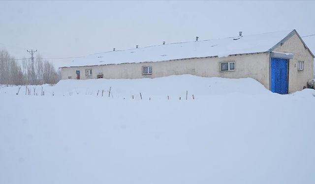 Hakkari'nin köylerinde tek katlı evler ve ahırlar karla kaplandı