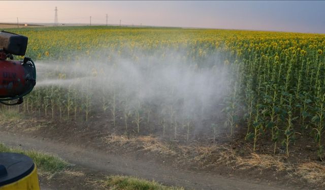 Tarımda bilinçsiz azot kullanımı insan ve çevre sağlığını tehdit ediyor