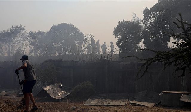 Şili'de devam eden orman yangınlarında yaşamını yitirenlerin sayısı 51'e çıktı