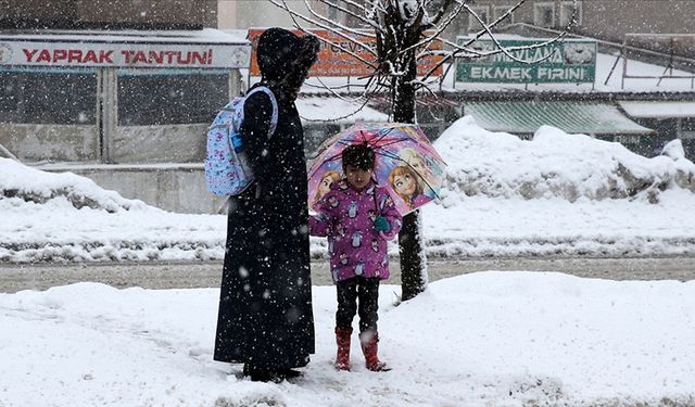 Bitlis'te olumsuz hava koşulları nedeniyle eğitime ara verildi