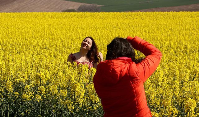 Tekirdağ'da kanola tarlaları fotoğrafların doğal fonu oluyor