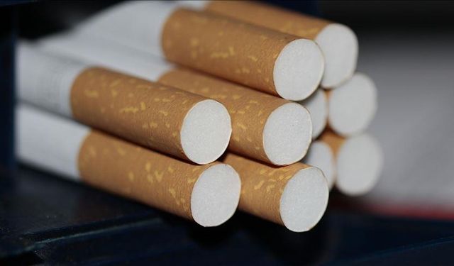 Sigara, Türkiye'de her gün yaklaşık 300 kişinin ölümüne neden oluyor