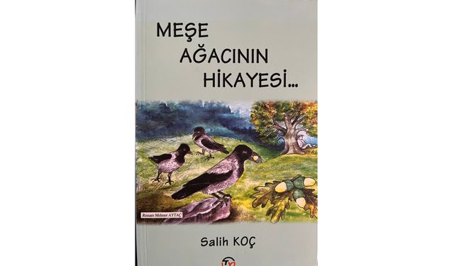 MEŞE AĞACININ HİKAYESİ