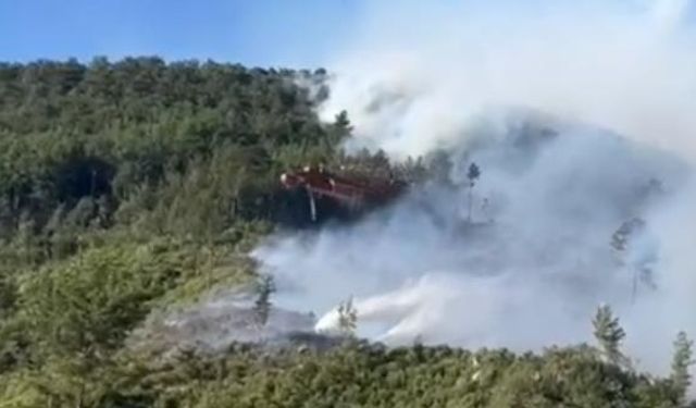 Antalya'da iki bölgede çıkan orman yangınına müdahale ediliyor