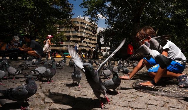 Ankara Valiliğinden vatandaşlara yüksek sıcaklık uyarısı